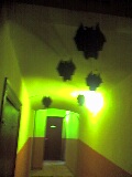 20080228225107-picture087.jpg