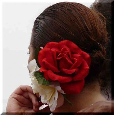 20090412194615-floresferia1.jpg